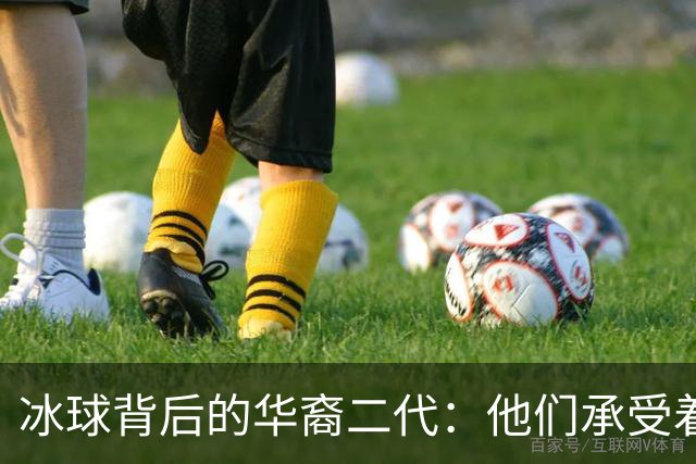 冰球背后的华裔二代：他们承受着什么？